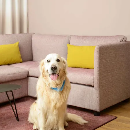 Hotel Hyatt House Paris Charles De Gaulle Airport Roissy-en-France