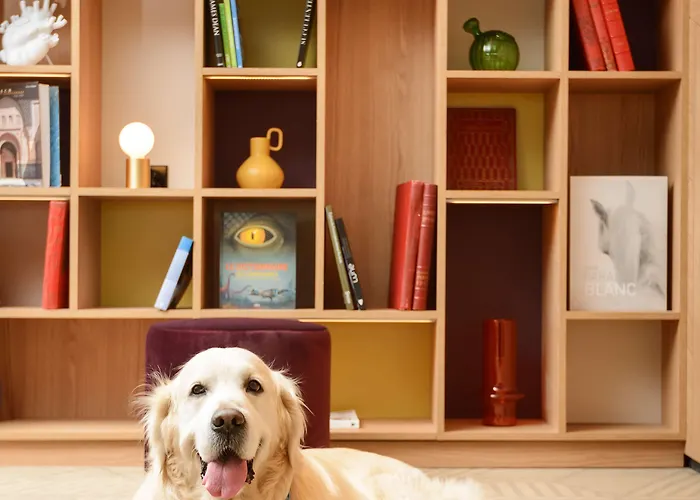 Hyatt House Paris Charles De Gaulle Airport 4*