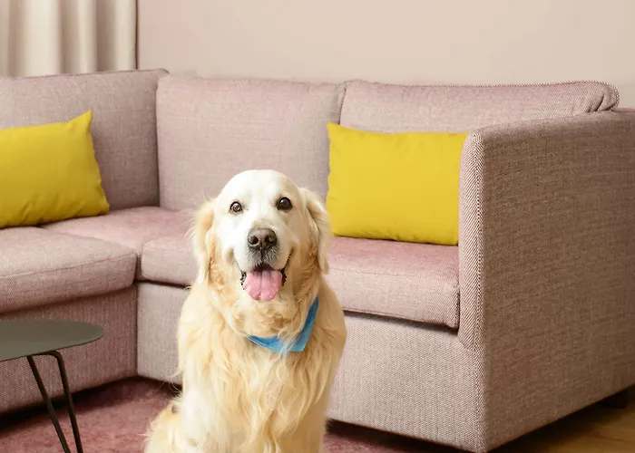 호텔 Hyatt House Paris Charles De Gaulle Airport 루와시 앙 프랑스